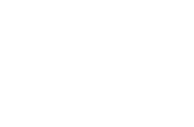 Microsoft Partner badge